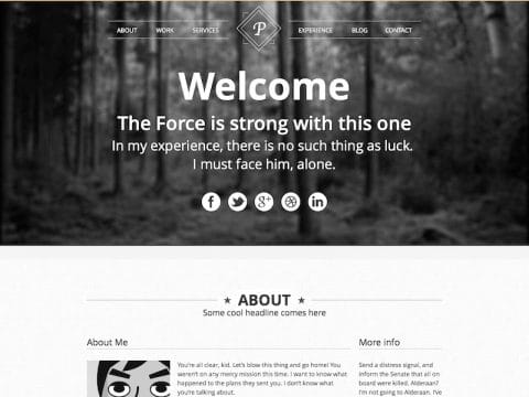 ViewPoint WordPress Theme