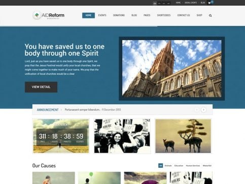 Aid Reform Charity WordPress Theme