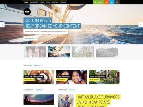 Mission Charity WordPress Theme