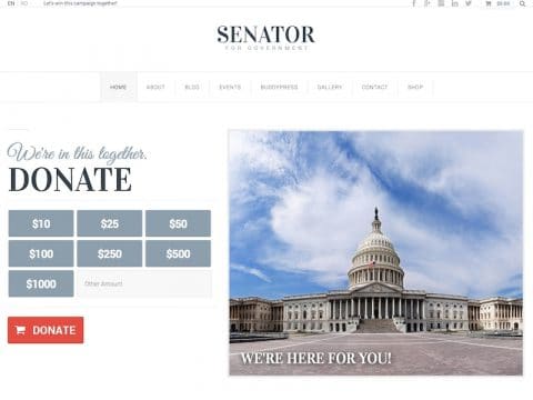 Senator WordPress Theme