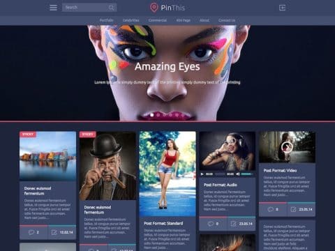 PinThis WordPress Theme