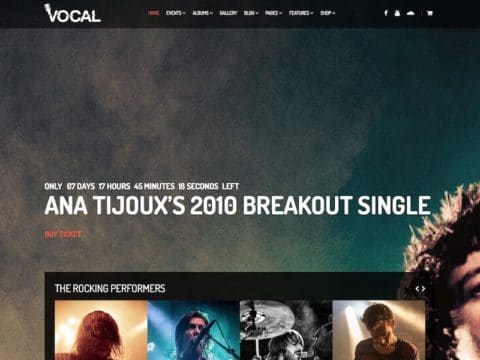 Vocal WordPress Theme