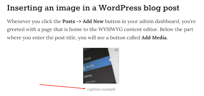 WP Caption Example