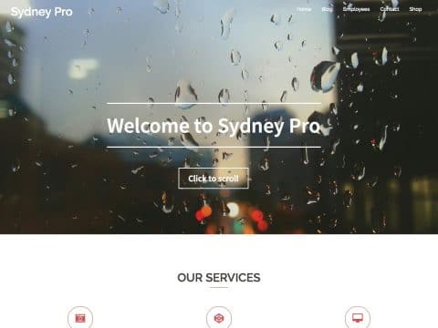 Sydney Pro WordPress Theme