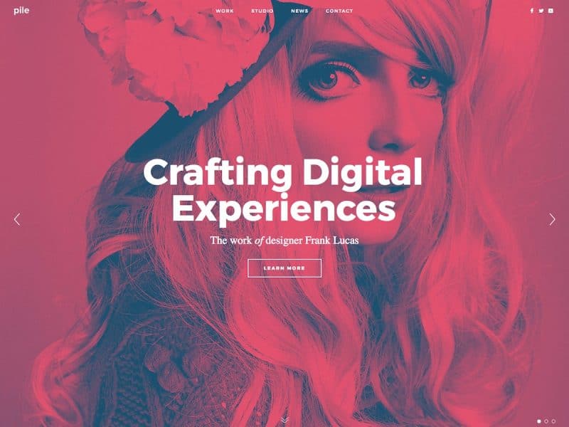 Matrix Portfolio WordPress Theme | Themes Directory