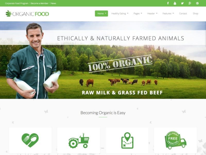 Organic Food Parallax WordPress Theme | Themes Directory