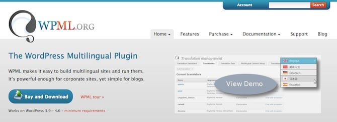 WPML Plugin