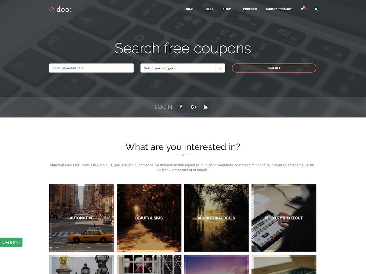 What is the Doo WordPress Theme 