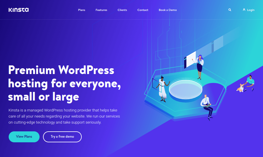 Kinsta Homepage