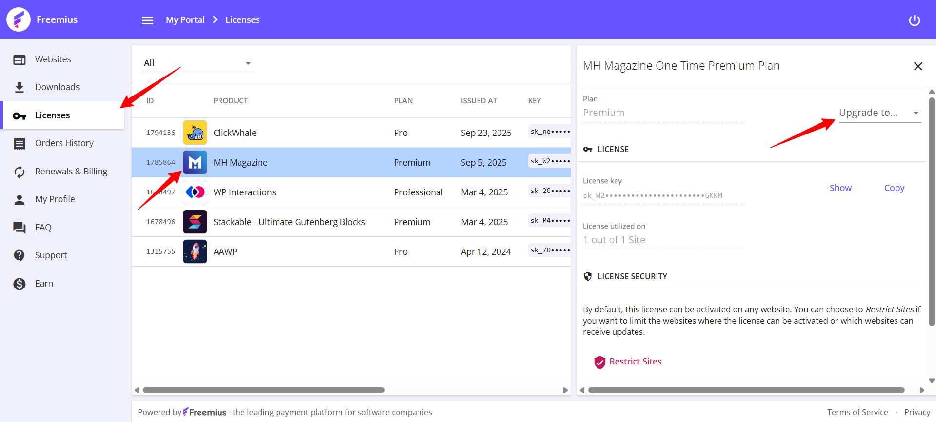 License tab freemius