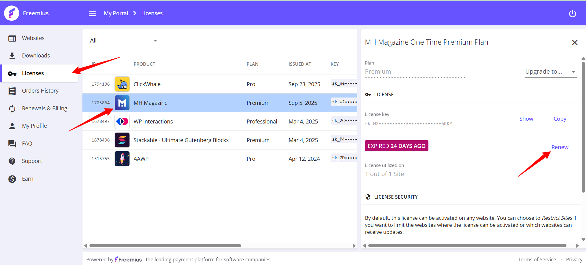 Renew tab freemius