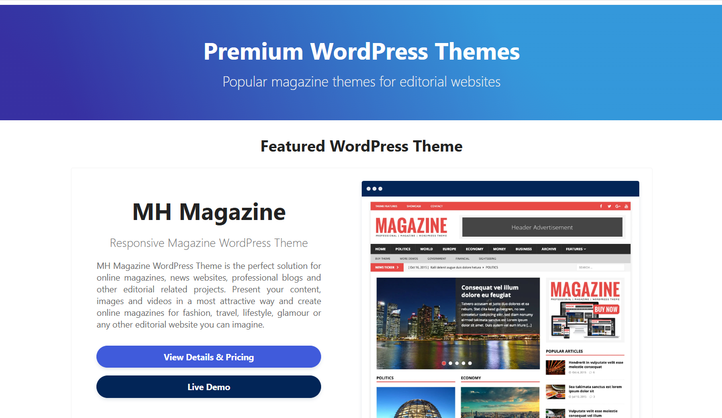 How To Make Money Using Your Magazine WordPress Theme – MH Themes